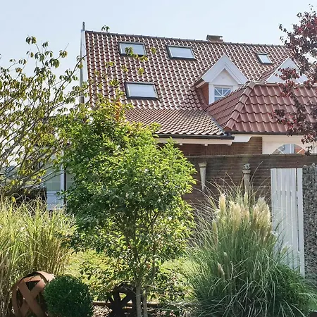 Papaja 'jakob' Im Og * Langeoog